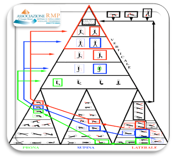 Schematica Rappresentazione del Sistema Piramidale, Metodo “Riequilibrio Modulare Progressivo”, rielaborazione del concetto Kabat”. - Kineform 